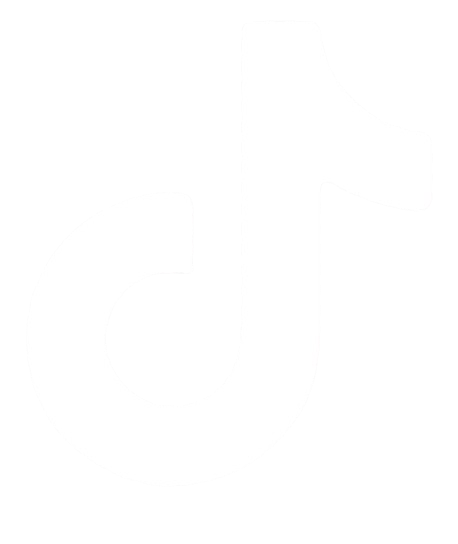 TikTok Icon